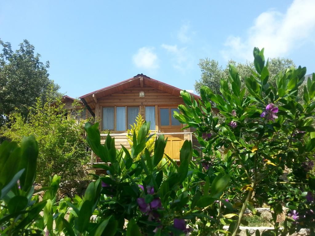Olive Garden Kabak Hotel Faralya Luaran gambar