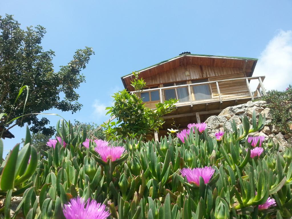 Olive Garden Kabak Hotel Faralya Luaran gambar