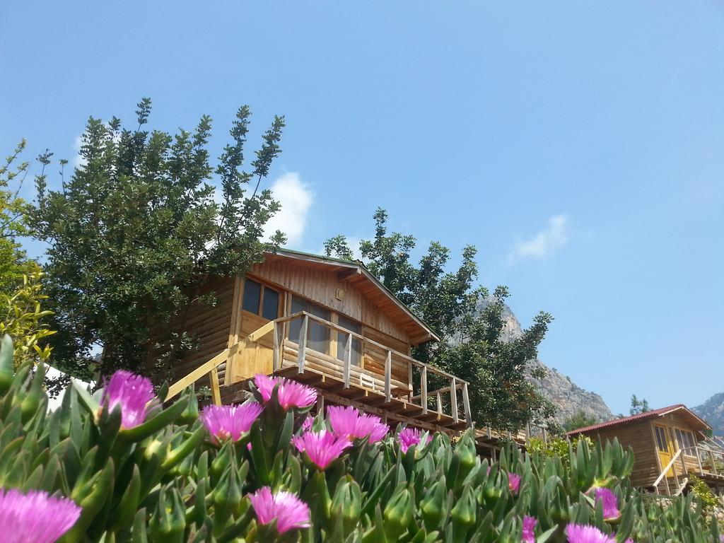 Olive Garden Kabak Hotel Faralya Luaran gambar