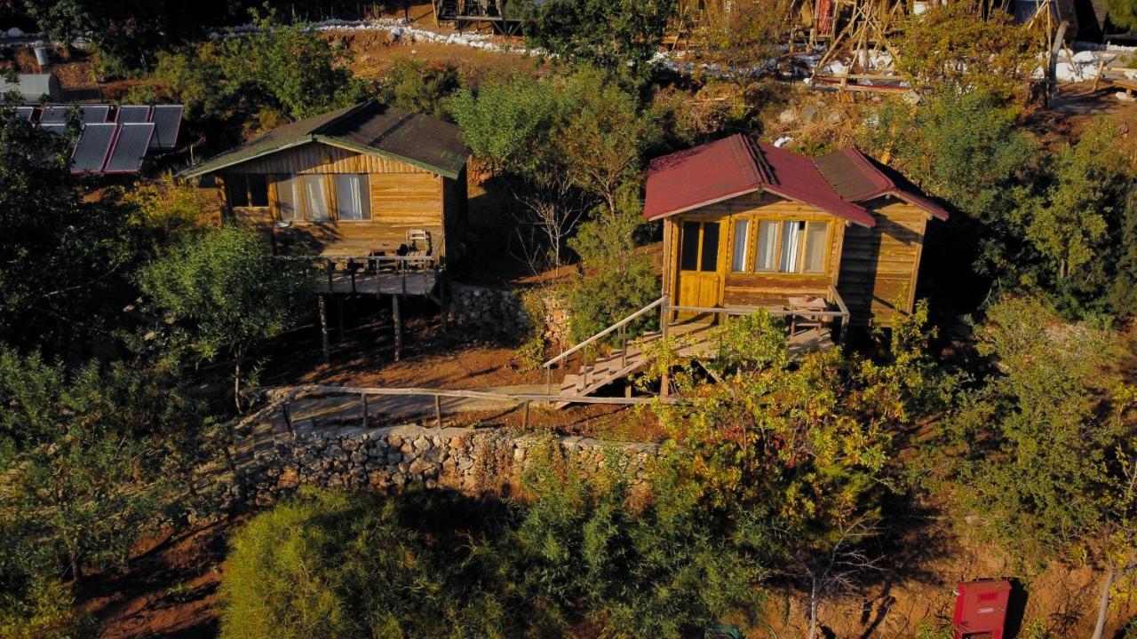 Olive Garden Kabak Hotel Faralya Luaran gambar