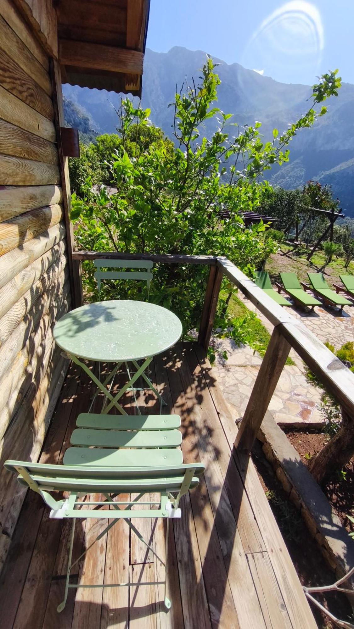 Olive Garden Kabak Hotel Faralya Luaran gambar