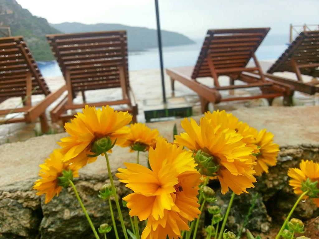 Olive Garden Kabak Hotel Faralya Luaran gambar