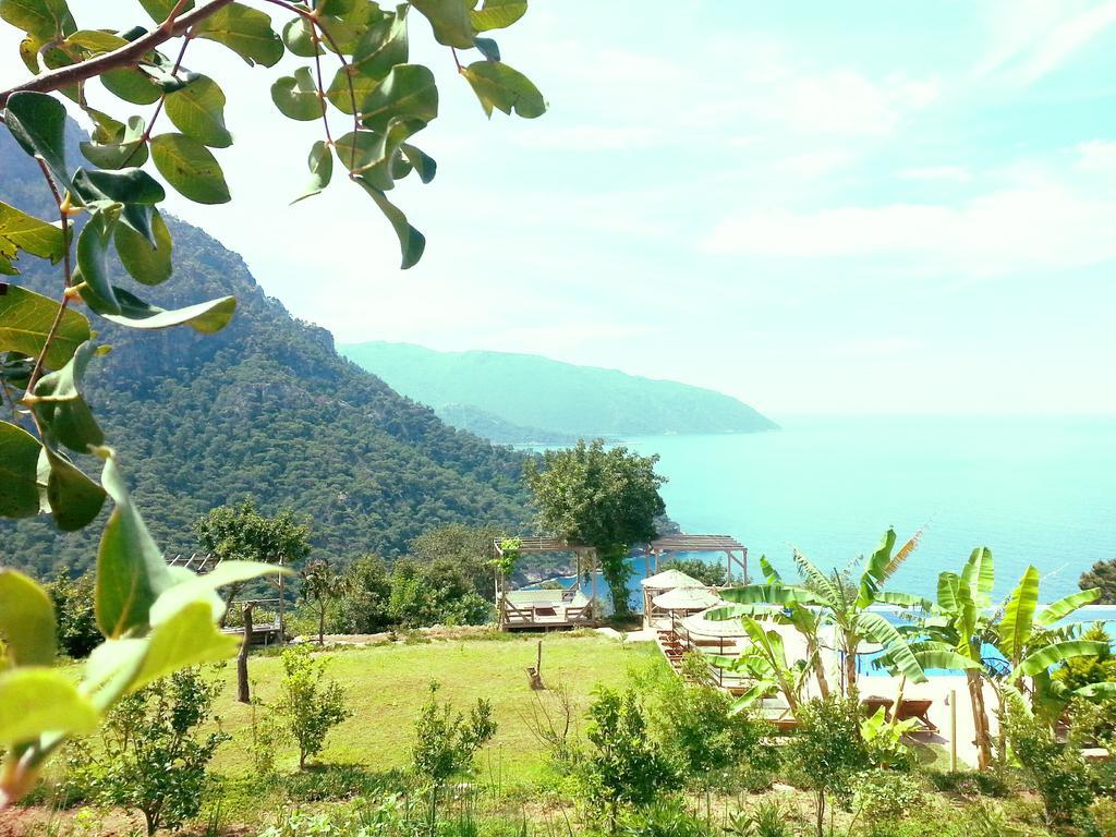 Olive Garden Kabak Hotel Faralya Luaran gambar