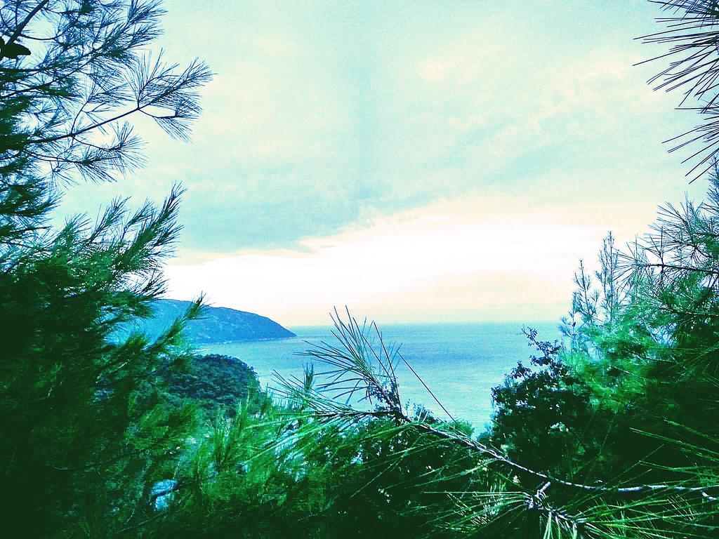 Olive Garden Kabak Hotel Faralya Luaran gambar