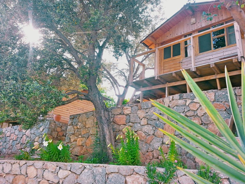 Olive Garden Kabak Hotel Faralya Luaran gambar