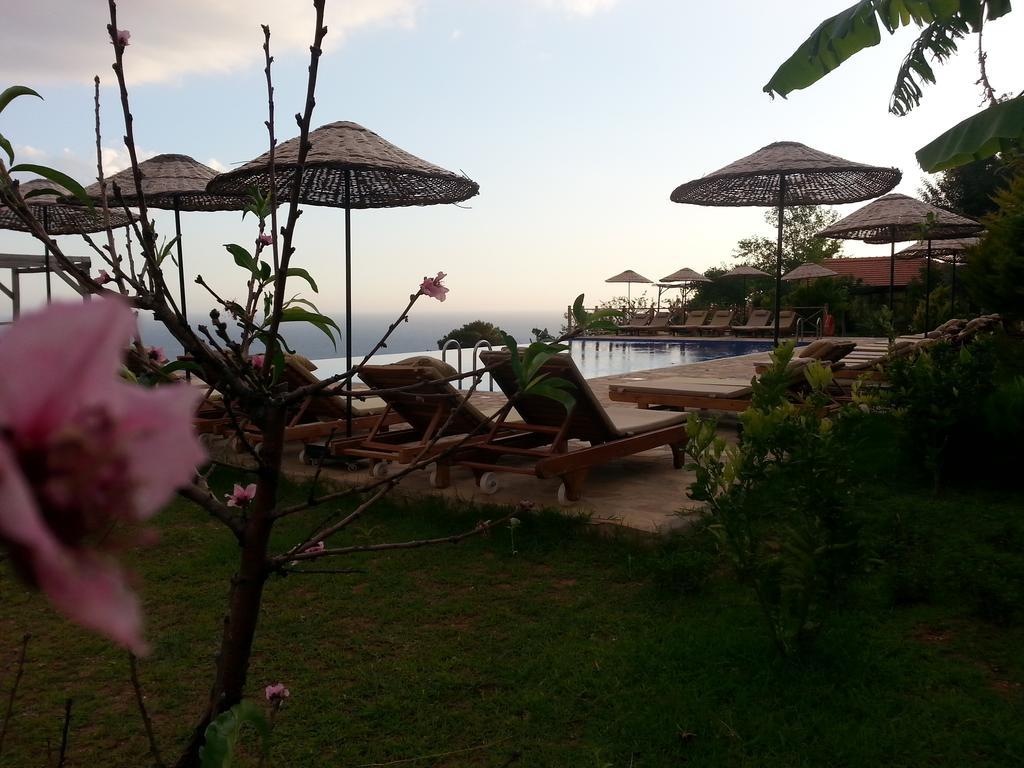 Olive Garden Kabak Hotel Faralya Luaran gambar