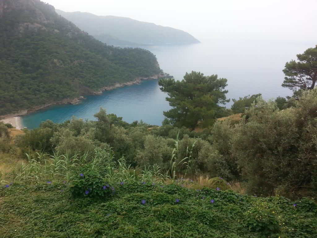 Olive Garden Kabak Hotel Faralya Luaran gambar