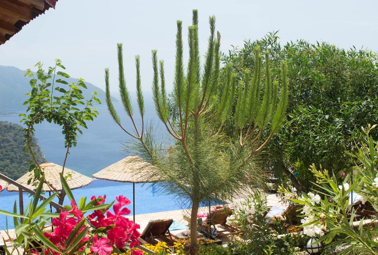 Olive Garden Kabak Hotel Faralya Luaran gambar