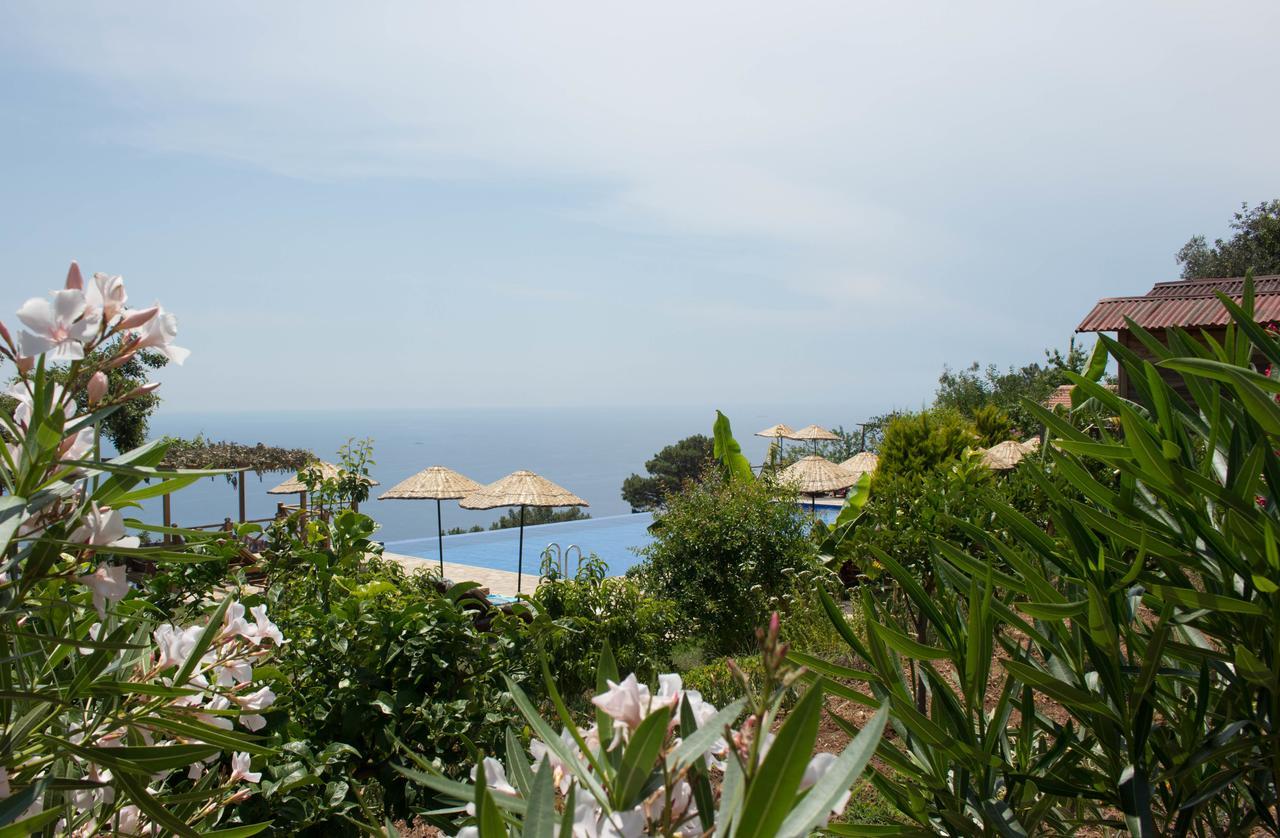 Olive Garden Kabak Hotel Faralya Luaran gambar
